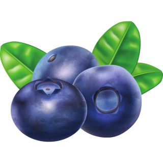 Extrakt von Moosbeerefrüchten (Cranberry-Extrakt)